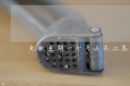 欠款逾期一个月还不上怎么办