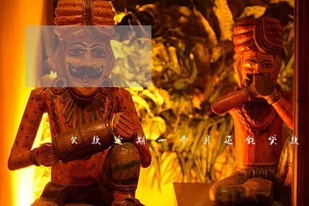 欠款逾期一个月还能贷款嘛 欠款逾期一个月还能贷款嘛