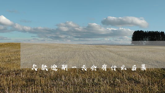 欠款逾期一天会有什么后果 欠款逾期一天会有什么后果