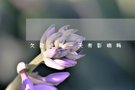 欠款逾期一天有影响吗 欠款逾期一天有影响吗