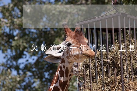 欠款逾期一年了还不上怎么样