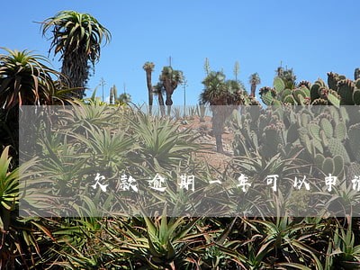 欠款逾期一年可以申请减免么 欠款逾期一年可以申请减免么