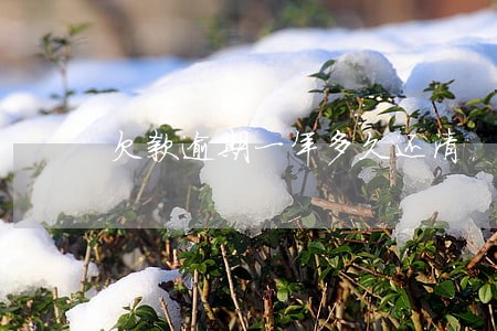 欠款逾期一年多久还清 欠款逾期一年多久还清