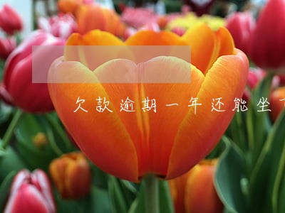 欠款逾期一年还能坐飞机吗