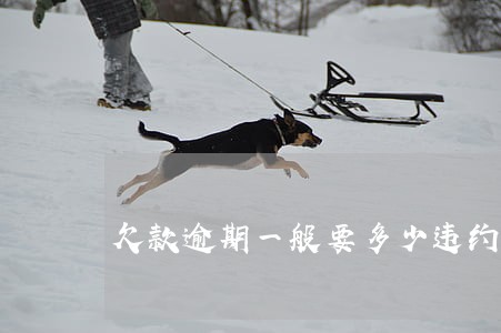 欠款逾期一般要多少违约金 欠款逾期一般要多少违约金