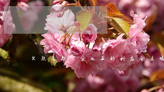 欠款逾期万分之五的利益合法吗 欠款逾期万分之五的利益合法吗