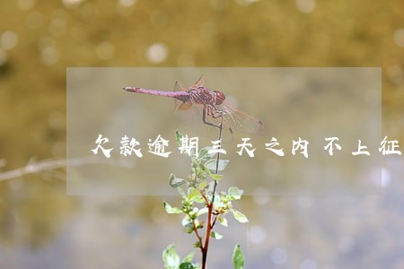欠款逾期三天之内不上征信吗 欠款逾期三天之内不上征信吗