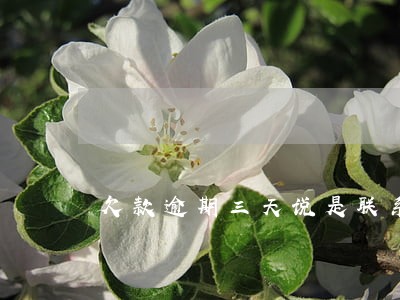欠款逾期三天说是联系村委 欠款逾期三天说是联系村委
