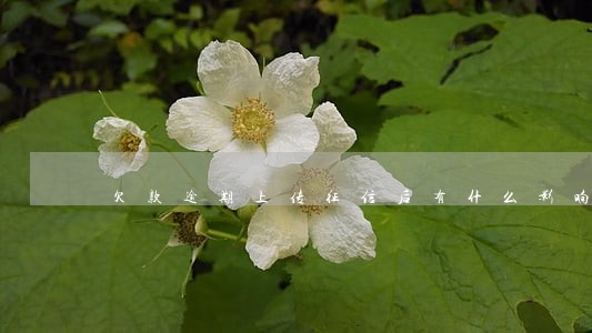 欠款逾期上传征信后有什么影响 欠款逾期上传征信后有什么影响