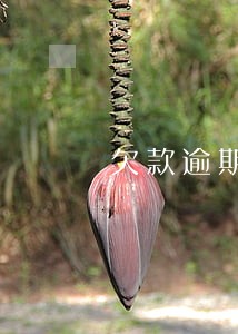 欠款逾期上传民事档案