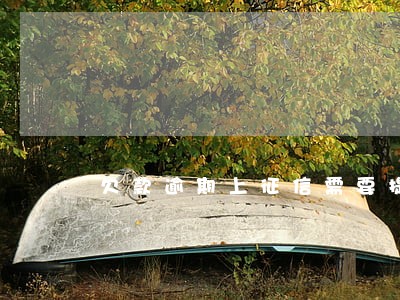 欠款逾期上征信需要提供亲人吗 欠款逾期上征信需要提供亲人吗