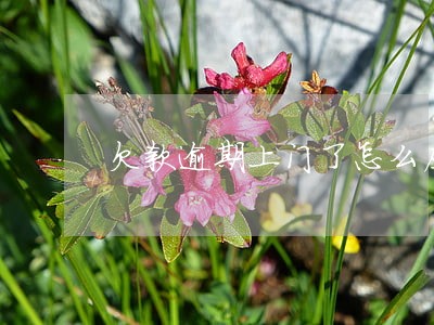 欠款逾期上门了怎么应对 欠款逾期上门了怎么应对