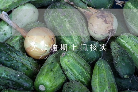 欠款逾期上门核实 欠款逾期上门核实