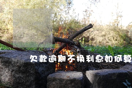 欠款逾期不换利息如何算 欠款逾期不换利息如何算