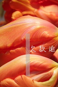 欠款逾期不接电话关机可以吗 欠款逾期不接电话关机可以吗