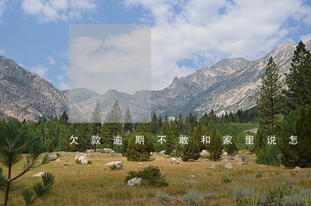 欠款逾期不敢和家里说怎么办