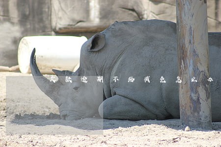 欠款逾期不给减免怎么办 欠款逾期不给减免怎么办
