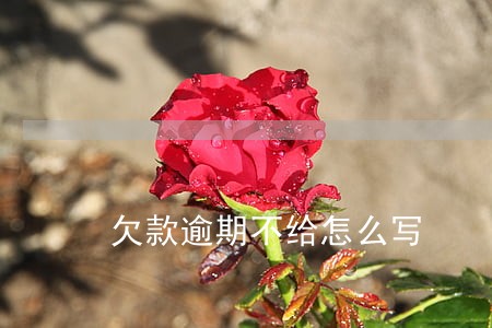欠款逾期不给怎么写 欠款逾期不给怎么写