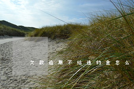 欠款逾期不给违约金怎么办 欠款逾期不给违约金怎么办