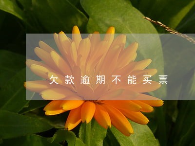 欠款逾期不能买票 欠款逾期不能买票