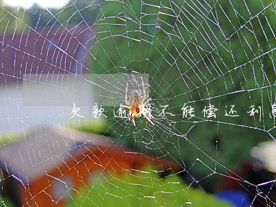 欠款逾期不能偿还利息怎么写 欠款逾期不能偿还利息怎么写