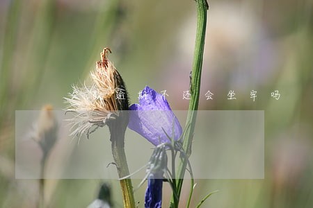 欠款逾期不还会坐牢吗 欠款逾期不还会坐牢吗