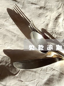 欠款逾期不还儿女 欠款逾期不还儿女