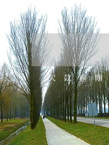 欠款逾期不还利息写多少合适 欠款逾期不还利息写多少合适