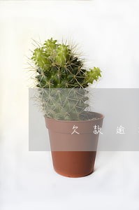 欠款逾期不还利息怎么算 欠款逾期不还利息怎么算