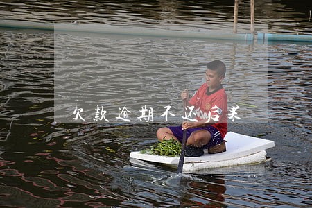 欠款逾期不还后果 欠款逾期不还后果
