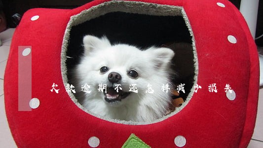 欠款逾期不还怎样减少损失