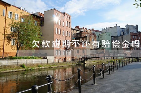 欠款逾期不还有赔偿金吗 欠款逾期不还有赔偿金吗