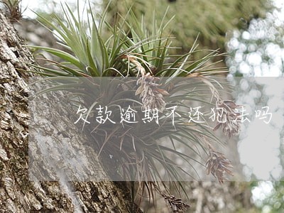 欠款逾期不还犯法吗