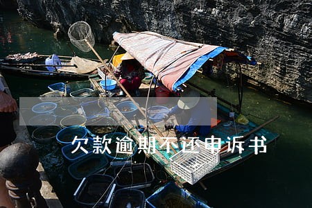 欠款逾期不还申诉书