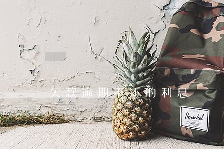欠款逾期不还的利息 欠款逾期不还的利息