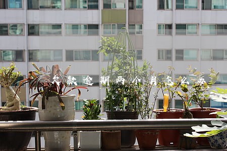 欠款逾期两个月怎么办 欠款逾期两个月怎么办