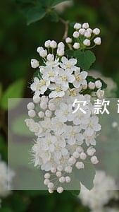 欠款逾期两天会坐牢吗 欠款逾期两天会坐牢吗