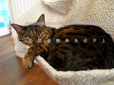 欠款逾期两天还不上 欠款逾期两天还不上