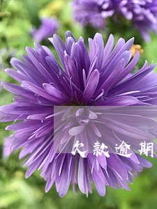 欠款逾期两年 欠款逾期两年