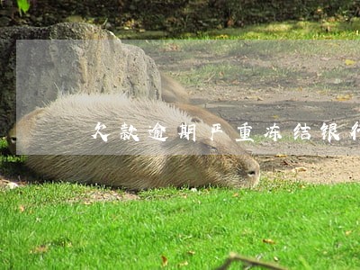 欠款逾期严重冻结银行账户