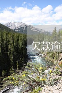 欠款逾期严重后果 欠款逾期严重后果