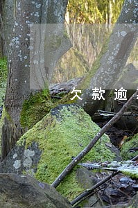 欠款逾期严重拒不处理 欠款逾期严重拒不处理