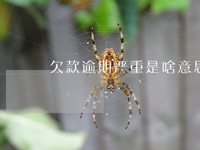欠款逾期严重是啥意思 欠款逾期严重是啥意思