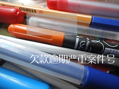 欠款逾期严重案件号 欠款逾期严重案件号