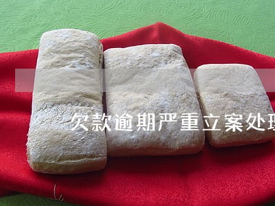 欠款逾期严重立案处理