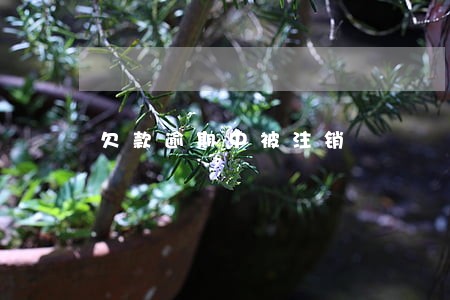 欠款逾期中被注销 欠款逾期中被注销