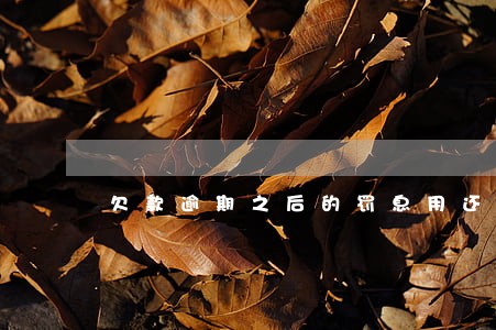 欠款逾期之后的罚息用还么 欠款逾期之后的罚息用还么