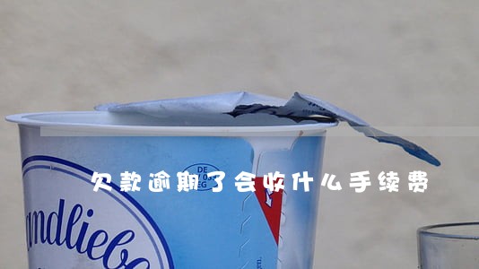 欠款逾期了会收什么手续费 欠款逾期了会收什么手续费