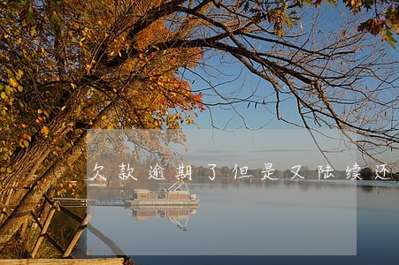 欠款逾期了但是又陆续还 欠款逾期了但是又陆续还