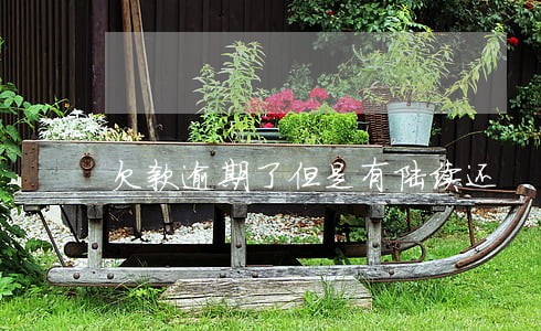 欠款逾期了但是有陆续还 欠款逾期了但是有陆续还